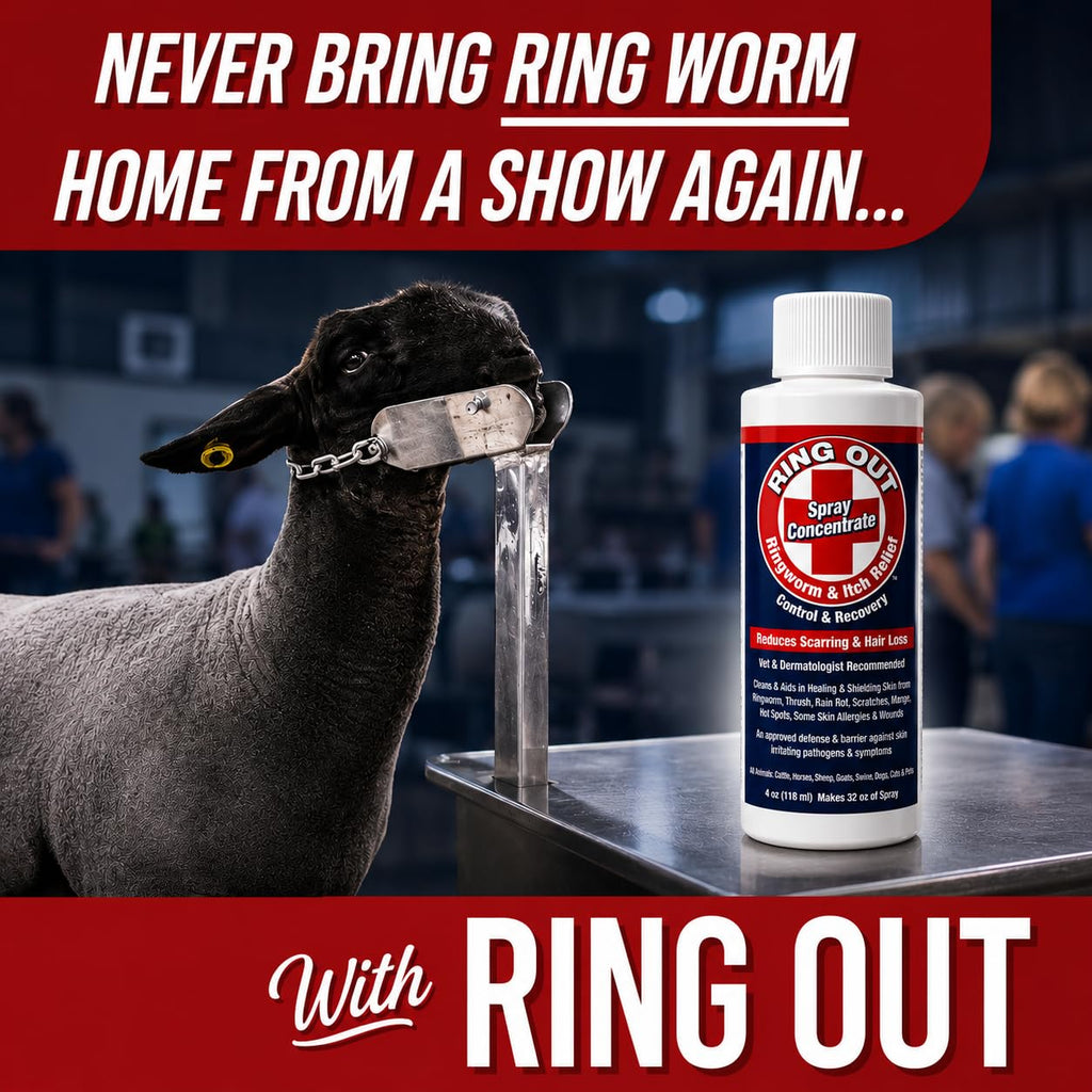 Ring Out - Control and Help Ringworm for Cats, Dogs, Sheep, Goats, Cattle, Horses, All Pets and Livestock Makes 32 oz. of Spray