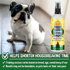 Buy now Bodhi Dog Potty Training Spray - Puppy & Dog Training Aid for Indoor & Outdoor Attractant Spray Use - Encourages Proper Dog Pee Here Habits - Safe for Pets & Home - Made in The USA (8 Fl Oz) at indiglob india