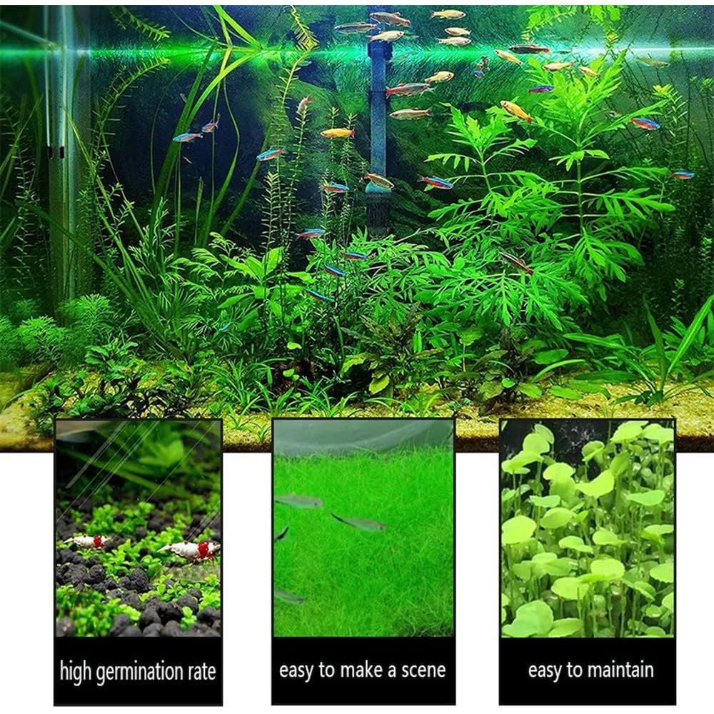 Buy now Aquarium Mini L.e.a.f 2 Bags at indiglob india