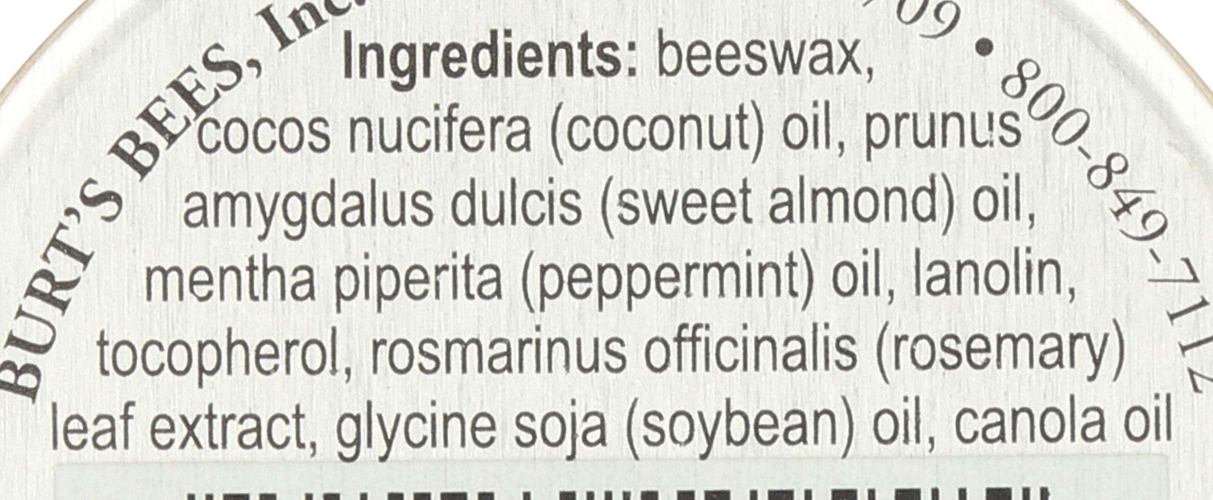 Buy now BURTS BEES Beeswax Lip Balm Tin, 0.3 OZ at indiglob india