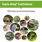 Sepia King - Medium - 100% Natural Calcium Supplement - Premium Cuttlebone Perfect for Birds, Tortoises, Snails, Reptiles - 12 Pack