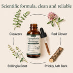 Lymphatic Drainage–Lymphatic Drainage Drops Cleanse & Bloat Relief Supports Lymphatic Health (2 Fl Oz)