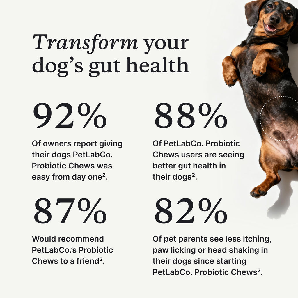 PetLab Co. Probiotic Chews for Dogs, 30 Soft Chews, 3-Pack