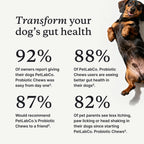 PetLab Co. Probiotic Chews for Dogs, 30 Soft Chews, 3-Pack