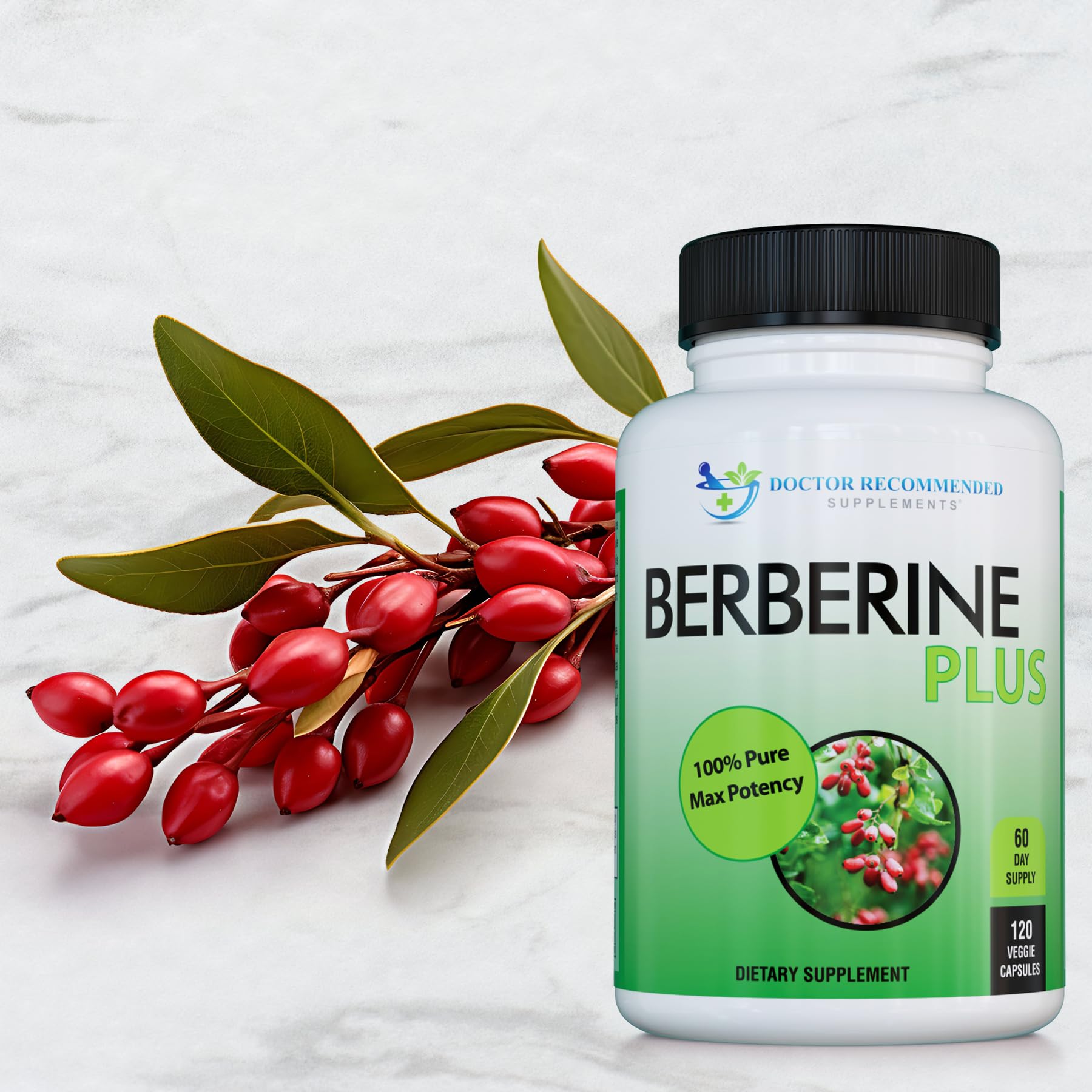 DOCTOR RECOMMENDED SUPPLEMENTS Berberine Plus 1200mg Per Serving - 120 Veggie Capsules Royal Jelly (120 Count (Pack of 3))