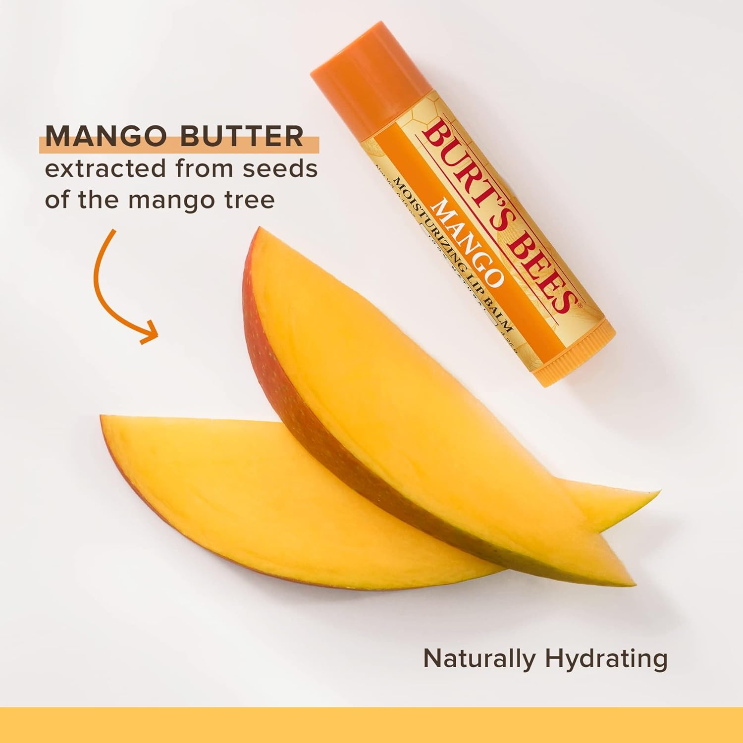 Buy now Burt's Bees Lip Balm - Mango, Lip Moisturizer With Responsibly Sourced Beeswax, Tint-Free, Natural Origin Conditioning Treatment, 2 Tubes, 0.15 oz. (Pack of 2) at indiglob india