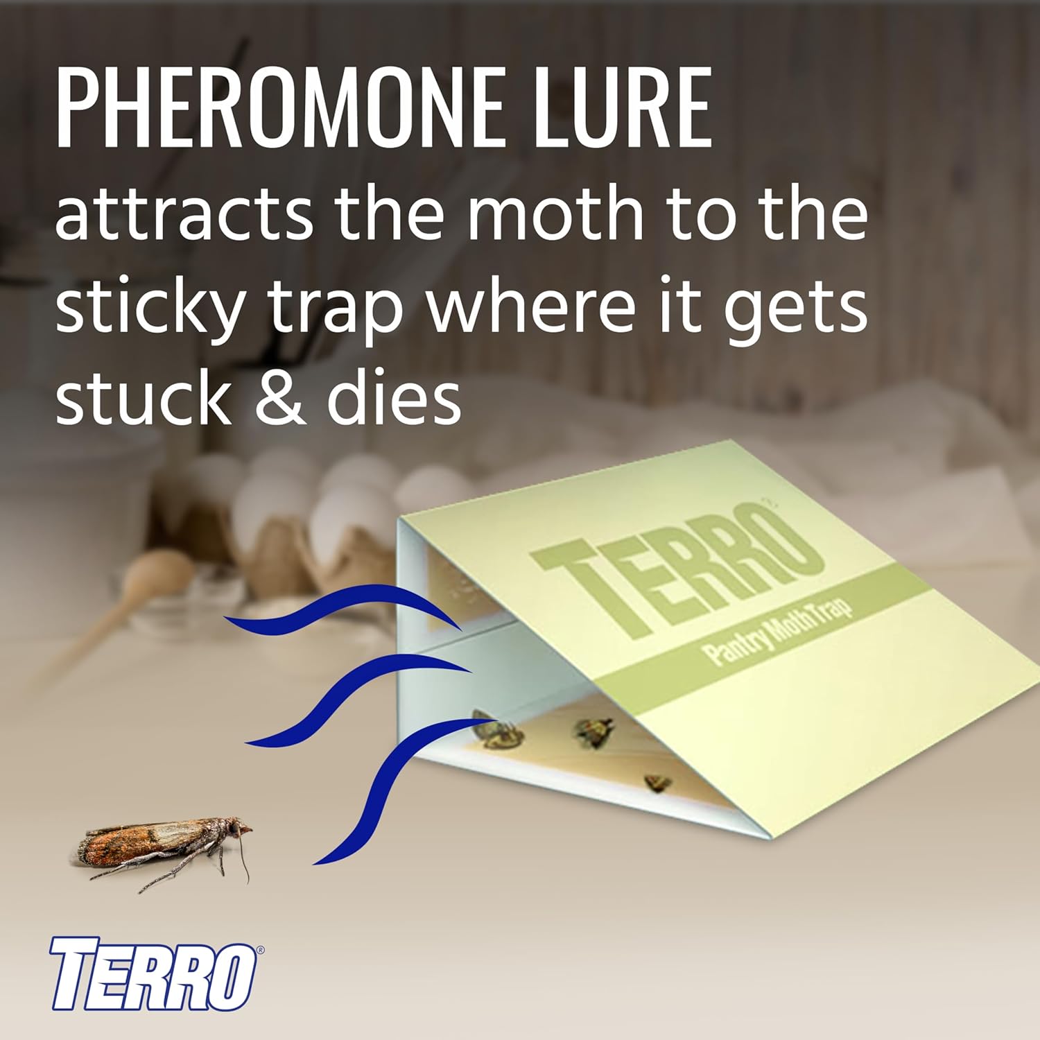 Buy now TERRO T2900 (Pack of 2) Pantry Moth Traps - Traps grain moths, flour moths, meal moths, and seed moths, (Packaging May Vary) at indiglob india