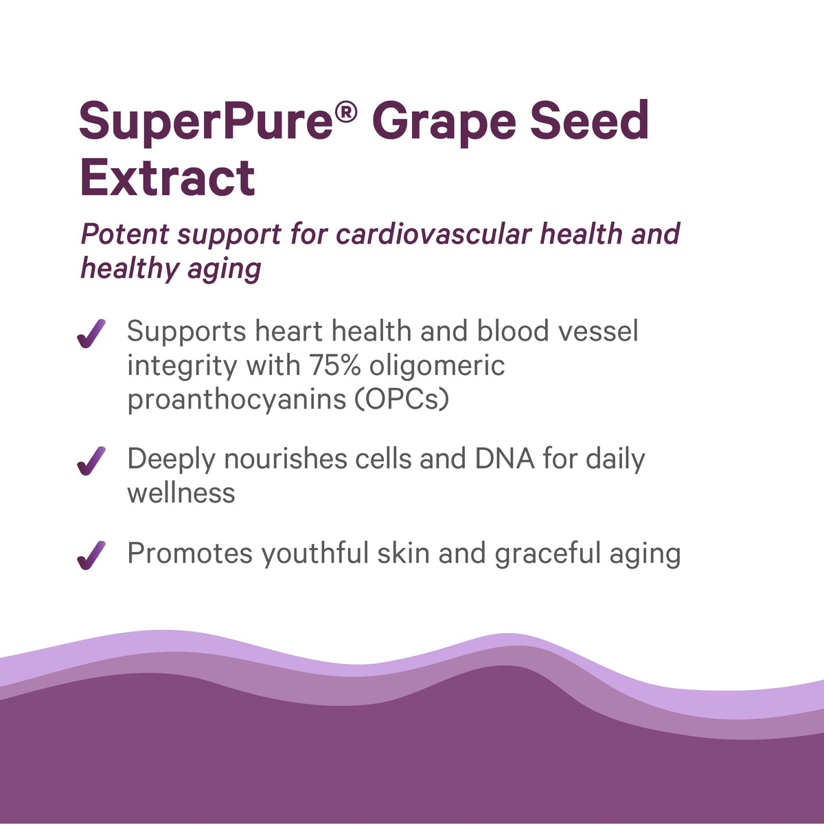 Pure Synergy SuperPure Grape Seed Extract (60 Capsules)