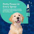 NaturVet Potty Here Training Aid Spray for Puppies and Dogs - 8 oz