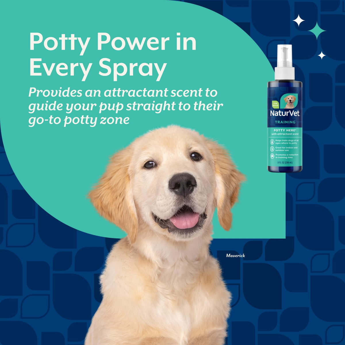 NaturVet Potty Here Training Aid Spray for Puppies and Dogs - 8 oz