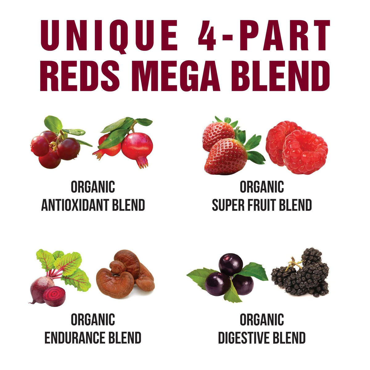Peak Performance Organic Reds Superfood Powder, Best Tasting Red Juice