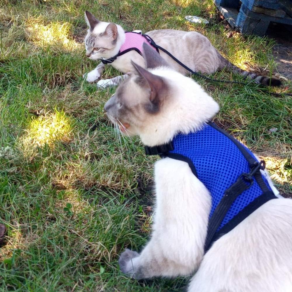 Buy now PETTOM Bunny Rabbit Harness with Stretchy Leash Cute Adjustable Buckle Breathable Mesh Vest for Kitten Small Pets Walking (Blue,S) at indiglob india
