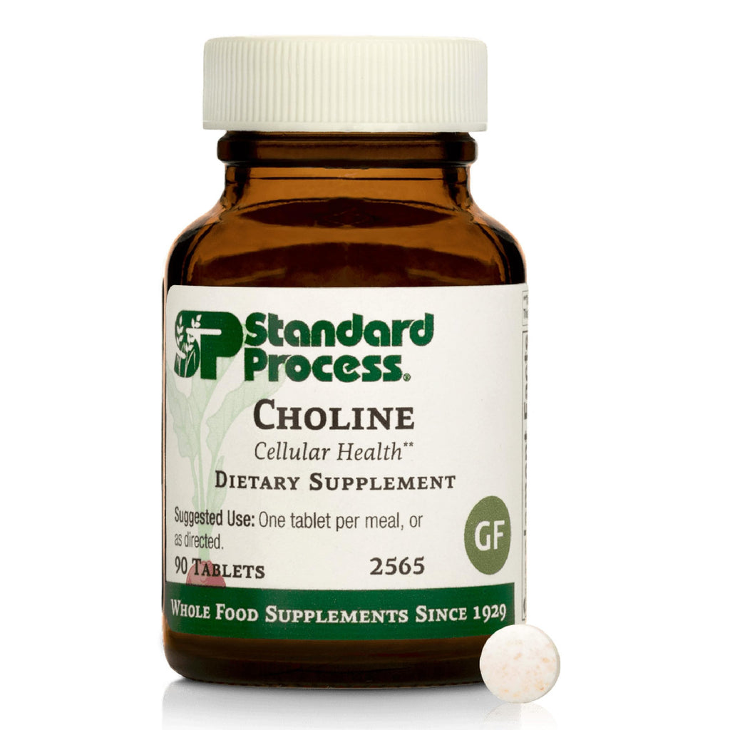 Standard Process Choline, Fat Metabolism & Liver Support, 90 Tablets