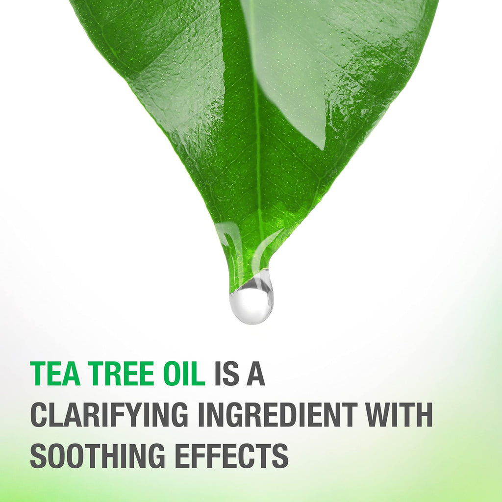 Buy now Neutrogena Soothing & Calming Healthy Scalp Shampoo to Moisturize Dry Scalp & Hair, with Tea Tree Oil, pH-Balanced, Paraben-Free & Phthalate-Free, Safe for Color-Treated Hair, 12 fl oz at indiglob india