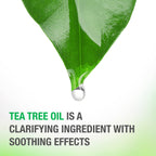 Buy now Neutrogena Soothing & Calming Healthy Scalp Shampoo to Moisturize Dry Scalp & Hair, with Tea Tree Oil, pH-Balanced, Paraben-Free & Phthalate-Free, Safe for Color-Treated Hair, 12 fl oz at indiglob india