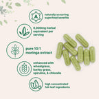 Micro Ingredients Moringa Oleifera | 300 Capsules with Supergreens Blend of Wheatgrass, Barley Grass, Spirulina, & Chlorella | Antioxidant Supplement, Energy, & Immune Support | Non-GMO
