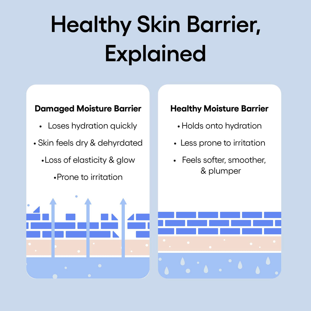 Buy now LANEIGE Water Bank Blue Hyaluronic Cream Moisturizer: Hydrating Korean Face Cream with Squalane & Ceramide for Skin Barrier Support, Dermatologist-Tested at indiglob india