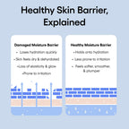 Buy now LANEIGE Water Bank Blue Hyaluronic Cream Moisturizer: Hydrating Korean Face Cream with Squalane & Ceramide for Skin Barrier Support, Dermatologist-Tested at indiglob india