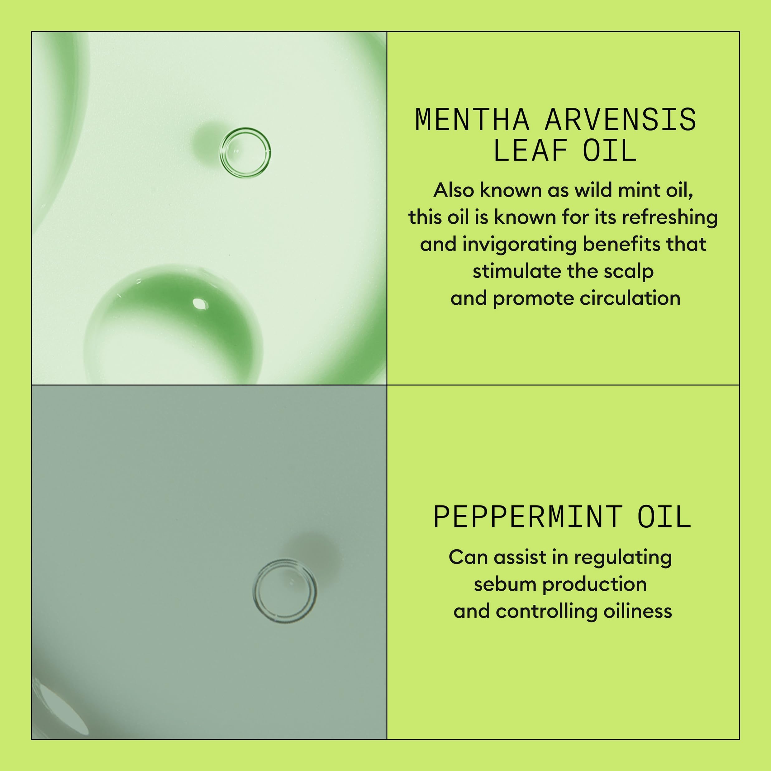 NIOXIN System 2 Scalp Care | Conditioner | Hair Thickening For Natural Hair | Scalp Health | For Natural Hair with Progressed Thinning | Boost Hair Density with Niacinamide & Biotin | Refreshed Scalp