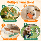 2-Pack Aggressive Chewer Toy, Squeaker & Puzzle, No Stuffing