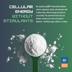 CleanForm goBHB Clean Energy Powder, Neutral, NSF Sport Certified, 6.88 oz