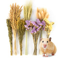 Sukh 60PCS Hamster Sprays - Natural Flower Herb Bedding & Habitat Decor