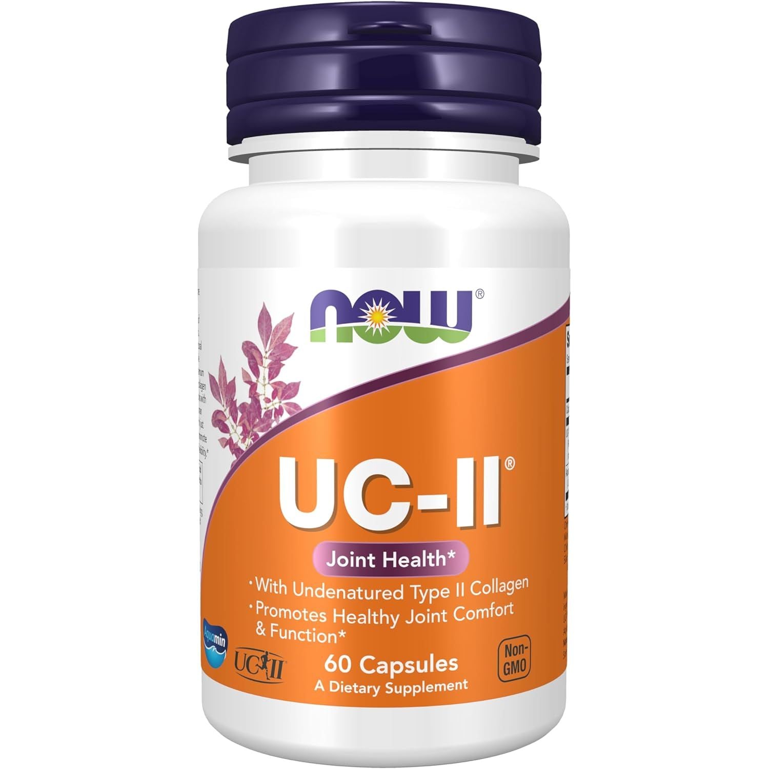 Buy now NOW Foods Supplements, UC-II Type II Collagen with Undenatured Type II Collagen, 120 Veg Capsules 60 Count (Pack of 1) Nutritional Supplement at indiglob india
