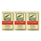 Tea Tree Therapy Toothpicks, Cinnamon, 100 Count (3-Pack)