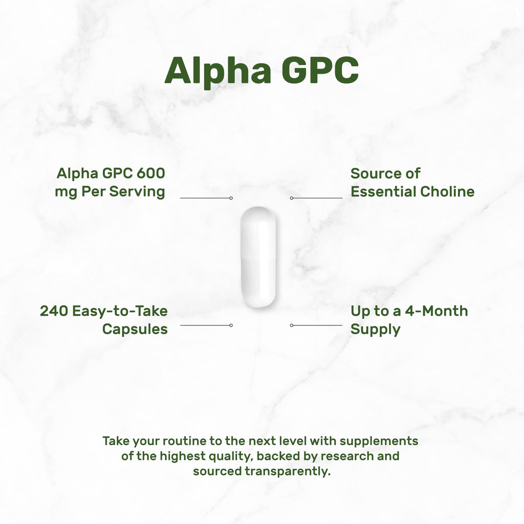 DEAL SUPPLEMENT Alpha GPC 600 mg Per Serving, 240 Capsules – Alpha GPC Choline Supplement – 120 Servings – Non-GMO, Gluten Free