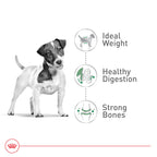 Royal Canin Size Health Nutrition Small Adult Dry Dog Food, 30 lb Bag