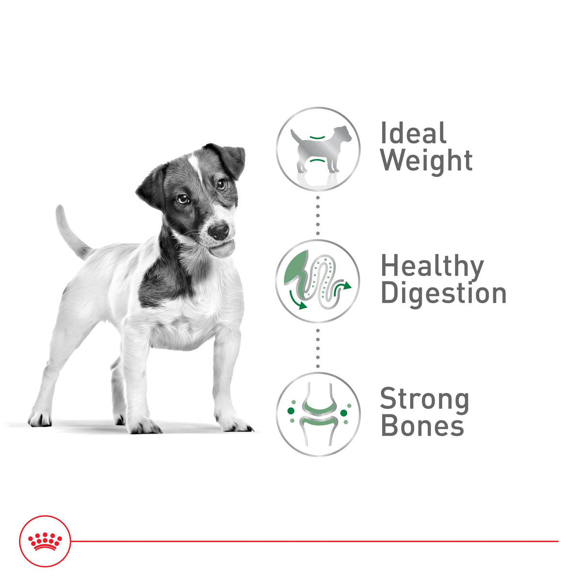 Royal Canin Size Health Nutrition Small Adult Dry Dog Food, 30 lb Bag