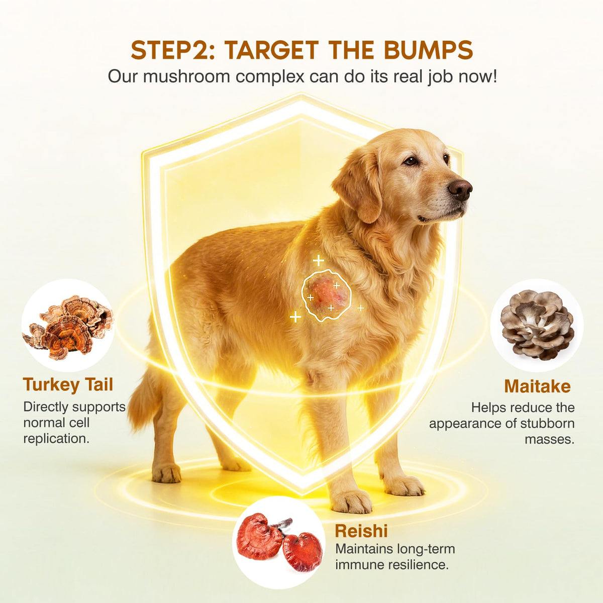 Turkey Tail Mushroom for Dogs,Senior Dog Supplement for Lumps, Bumps & Lipoma,Soft Chews with Reishi, Maitake, Turmeric & Astragalus,Supports Immune Health,Natural Chicken Flavor, 120 Count