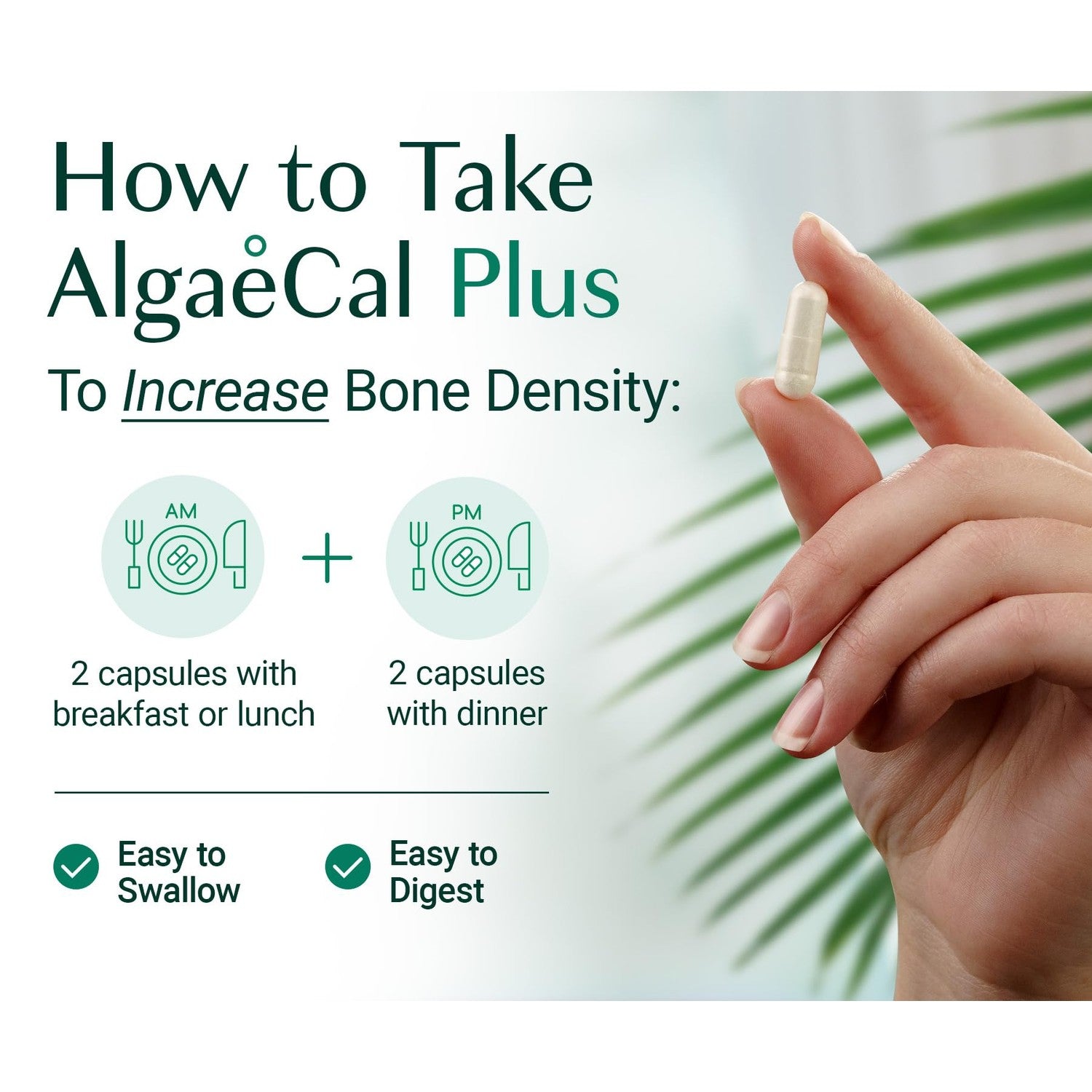 ALGAECAL Plus Calcium Supplement for Bone Density, D3 K2, 120 Caps, 3 Packs | Organic red algae calcium with D3 (1600 IU), K2 MK-7 (100mg), magnesium (350mg) & trace minerals for stronger bones.