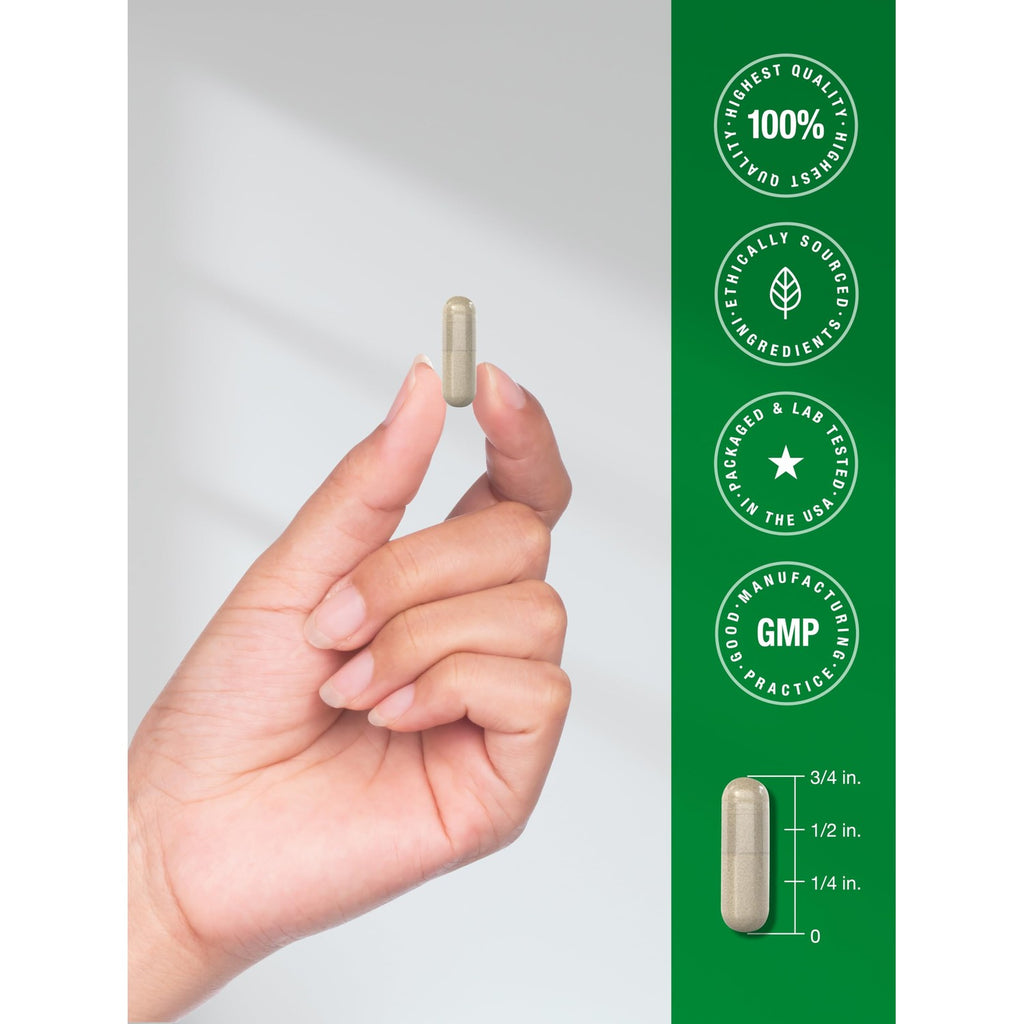 Horbäach Echinacea Extract Capsules | 300 Count