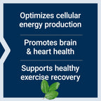 Life Extension Optimized Carnitine, 60 Capsules