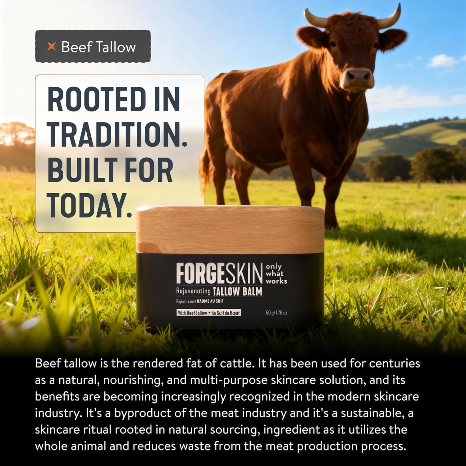 Forge Skin Beef Tallow Balm Skin Moisturizer for Men, Anti Aging Wrinkle Defense - Face & Body Skincare Hydration Cream, 100% Grass-Fed Lotion, Paraben-Free, Helps Minimize Look of Fine Lines, 1.7 oz