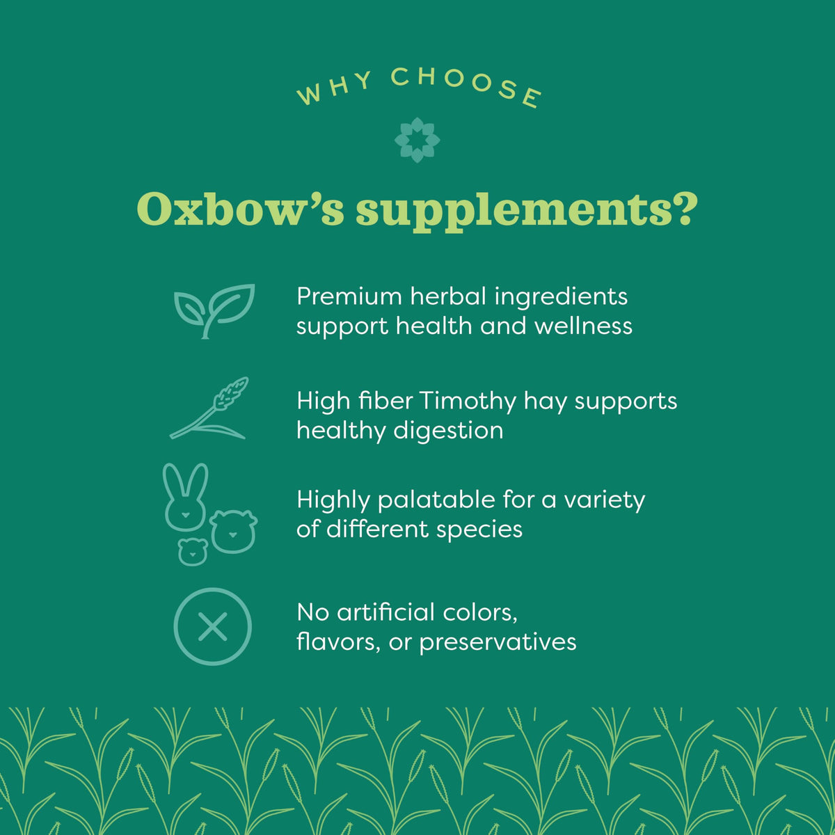 Oxbow Natural Science Skin & Coat Support for Rabbits & Guinea Pigs, 4.2 oz