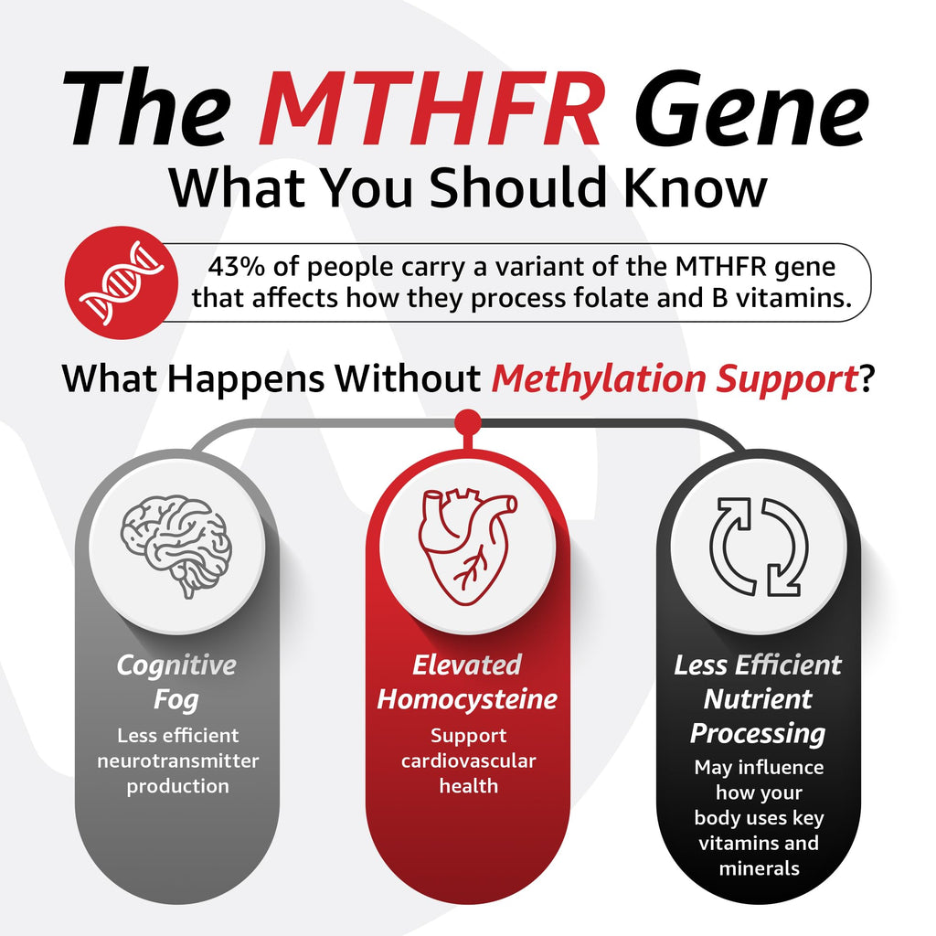 10X Health Methylated Multivitamin - 90 Capsules | Mthfr Supplement: 34-in-1 Formula, 800mcg B12, 5-MTHF & NAC, Methyl B Complex, Non-GMO