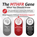 10X Health Methylated Multivitamin - 90 Capsules | Mthfr Supplement: 34-in-1 Formula, 800mcg B12, 5-MTHF & NAC, Methyl B Complex, Non-GMO