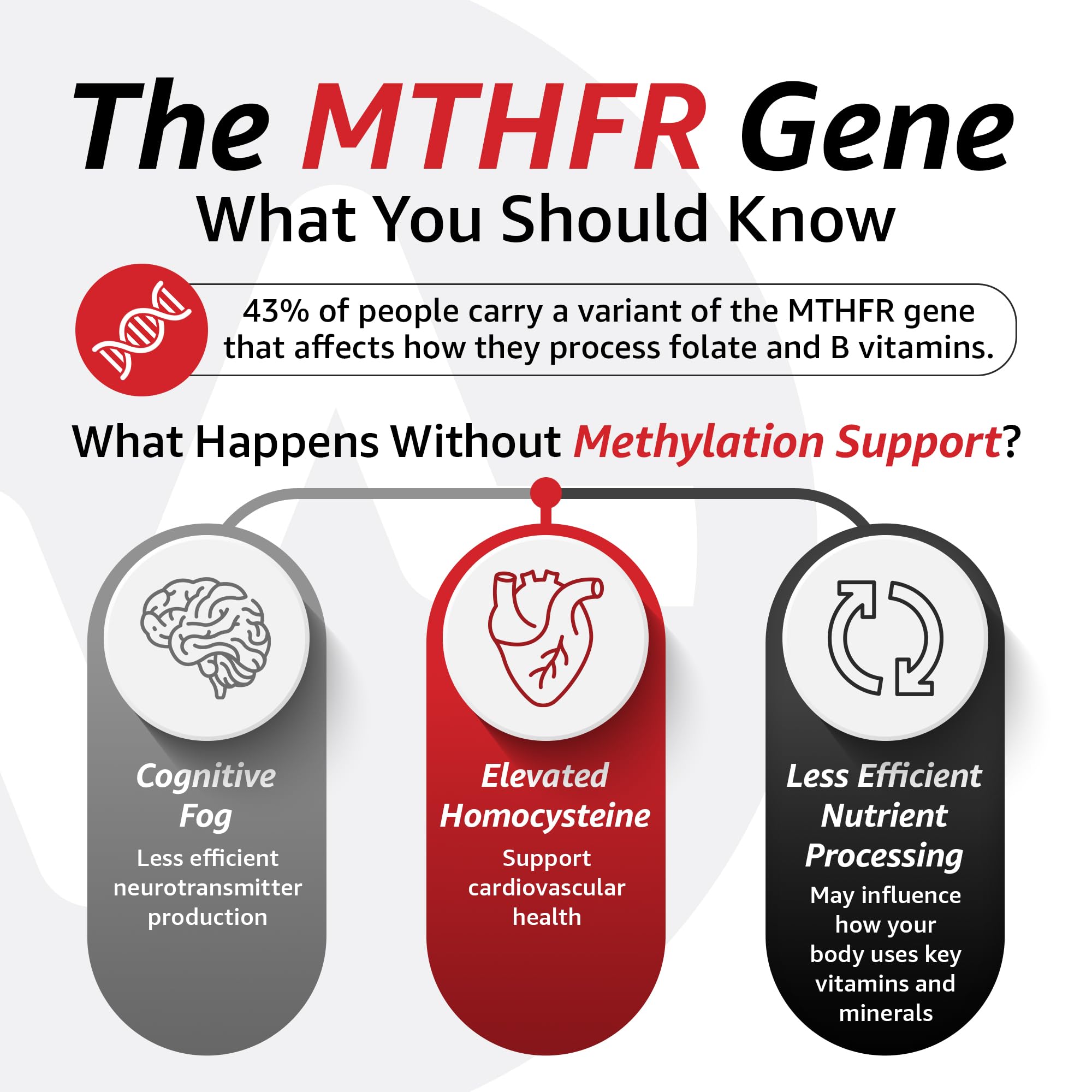 10X Health Methylated Multivitamin - 90 Capsules | Mthfr Supplement: 34-in-1 Formula, 800mcg B12, 5-MTHF & NAC, Methyl B Complex, Non-GMO