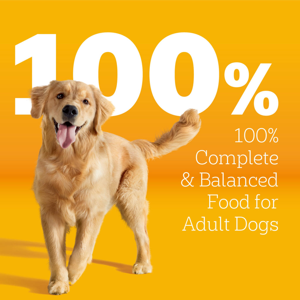 Pedigree Tender Bites Dry Dog Food, Chicken & Steak, 14 lb