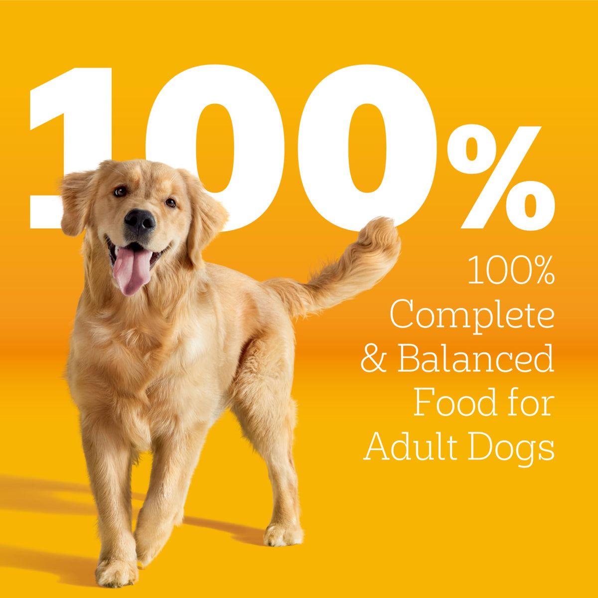 Pedigree Tender Bites Dry Dog Food, Chicken & Steak, 14 lb