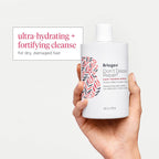 Buy now Briogeo Don't Despair, Repair! Super Moisture Shampoo, Dry Damaged Hair, Hair Shampoo with Argan Oil for Hair, Hair Moisturizer Hair Treatment, Protein Shampoo, Vegan, Cruelty-Free at indiglob india