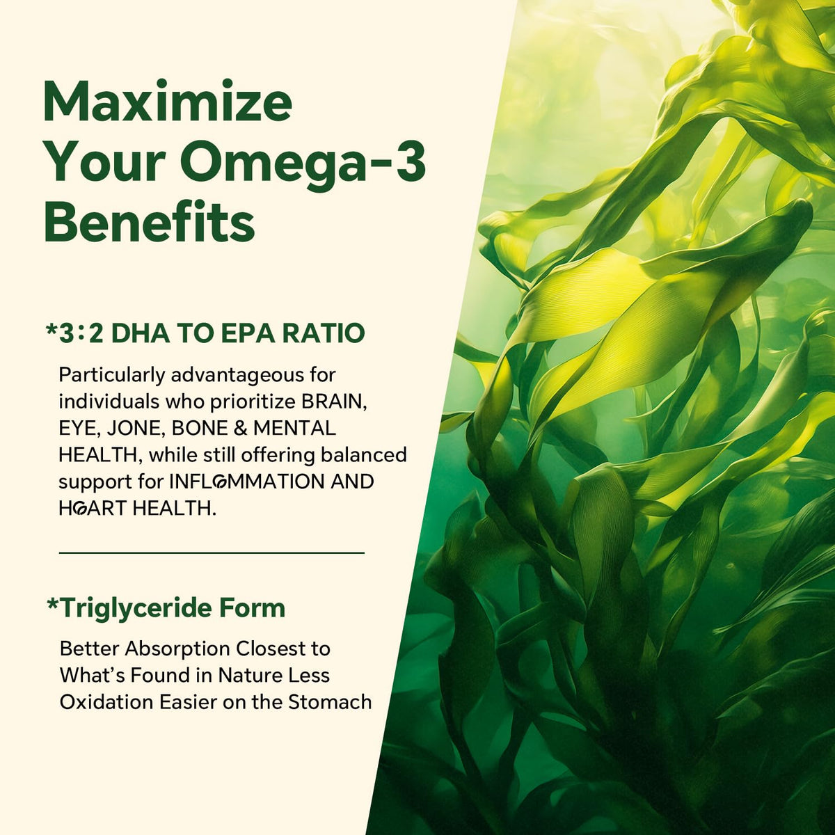 VEETAGYO Vegan 1200mg Omega 3 Gummies 60Cts