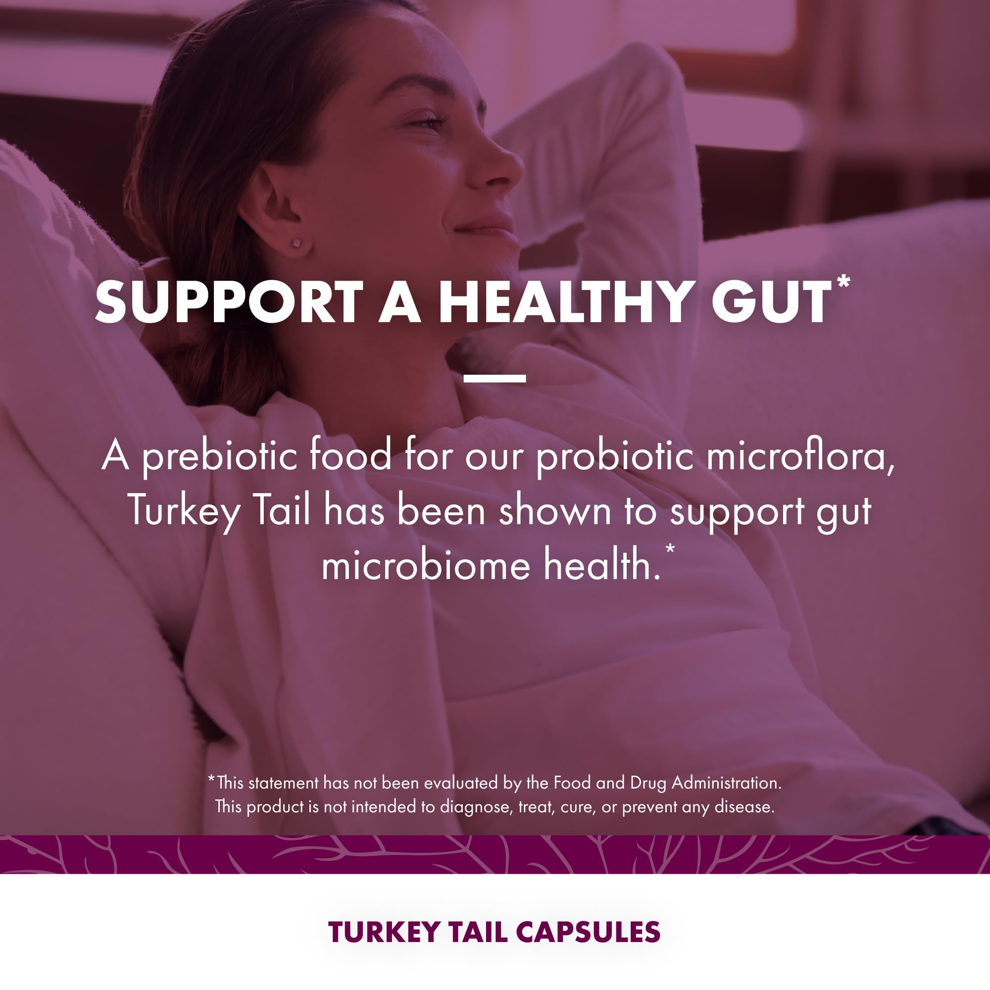 Host Defense Turkey Tail, Digestive & Immune, 240 (2 Units of 120 Ct) | Digestive, Gastrointestinal, Immune Response, and Gut Microbiome Support, Turkey Tail Mushroom Supplement, 60 Servings Each
