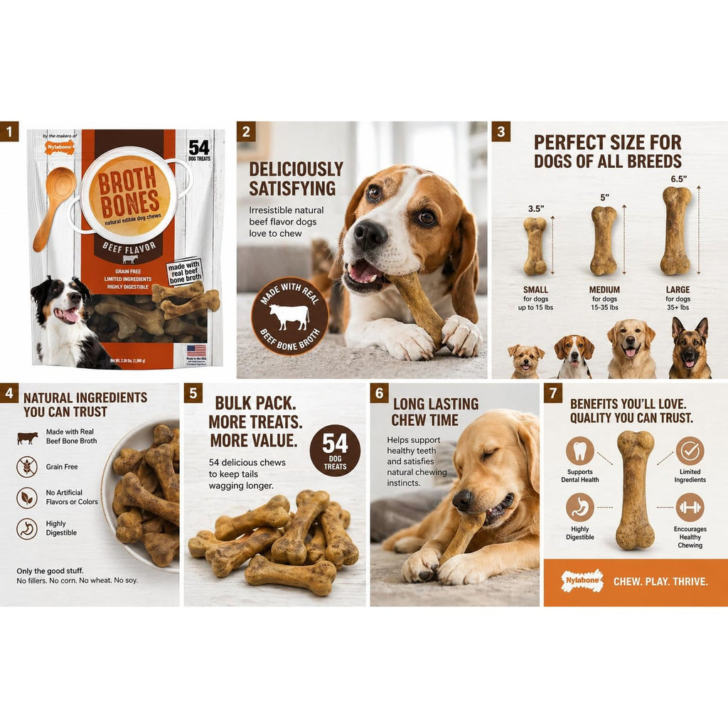 Nylabone Beef Broth Bones Dog Treats (Net 54Count), 2.38 Lb