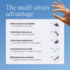 Pendulum Metabolic Daily - Multi-Strain Probiotic with Akkermansia muciniphila to Support Metabolism and Sustain Energy Levels - for Women and Men - 30 Capsules (1 Pack)