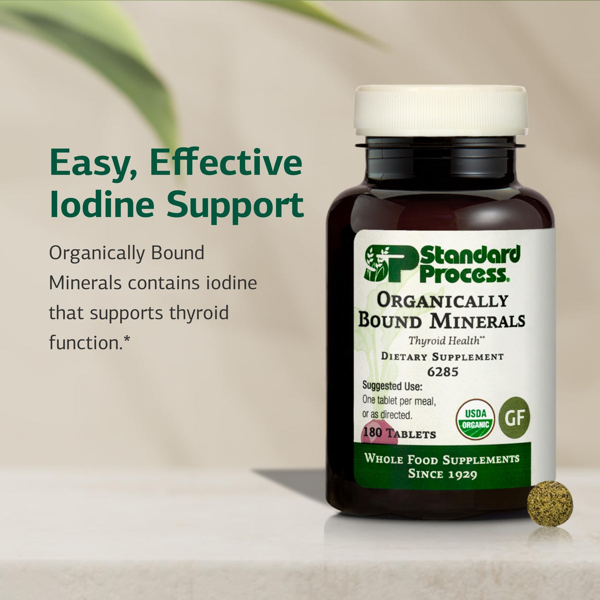 Standard Process Organically Bound Minerals, Natural Iodine, 180 Tablets