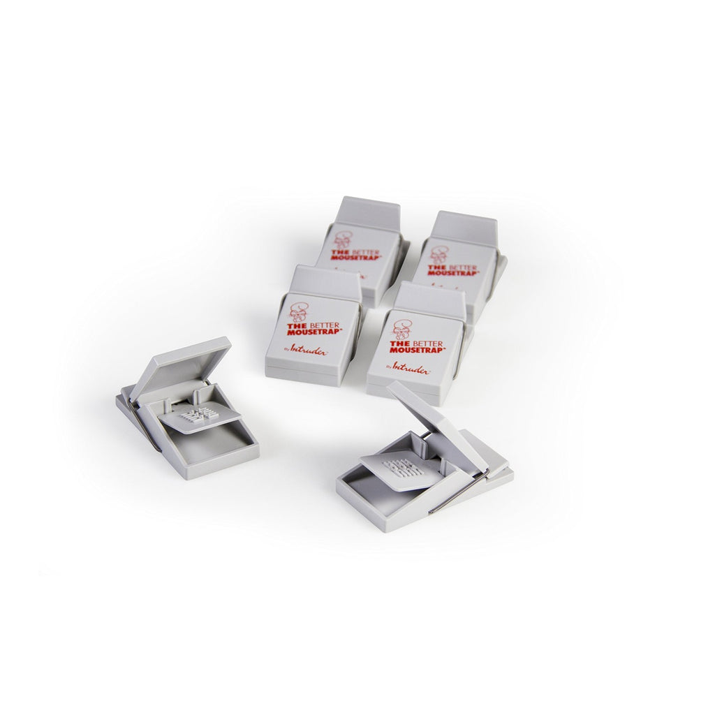 Intruder 30442 The Better Mousetrap, 6-Pack