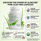 Aloe Vera Capsules for Gut Health & Digestive Comfort 60ct x 300mg | Gently Support Gut Health & Digestive Comfort. Vegan, non-GMO Aloe leaf extract. Aloin Free Naturally Support Immune Health